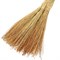 Веник сорго 3-х лучевой 61-1-017
