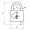 Замок висячий контрольный (шт.) 70-0-900